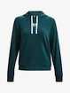 Damen Hoodie Under Armour  Rival Terry Hoodie-GRN