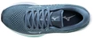 Damen Laufschuhe Mizuno  Wave Rider 25 Quarry