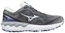 Damen Laufschuhe Mizuno  Wave Skyrise Wave Skyrise 2 / Blackened Pearl / Silver / Antarctica