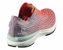 Damen Laufschuhe Salomon  Sonic 3 Accelerate