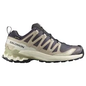 Damen Laufschuhe Salomon Xa Pro 3D V9 Gore-Tex Nine Iron/Oxford Tan/Alfalfa