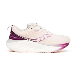 Damen Laufschuhe Saucony  Triumph 22 Moon/Eggplant