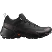 Damen-Outdoorschuhe Salomon  CROSS HIKE GTX 2 W