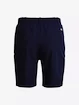 Damen Shorts Under Armour  Links Short dark blue