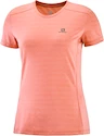 Damen T-Shirt Salomon  XA Tee W Brick Dust S