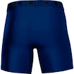 Herren Boxer Shorts Under Armour  Tech 6" 2 Pack blue