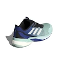 Herren Hallenschuhe adidas  Crazyflight 5 M Semiflash Aqua