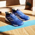 Herren Hallenschuhe adidas  Novaflight 2 M Lucid Blue