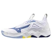 Herren Hallenschuhe Mizuno  Wave MOMENTUM 3 White/Bellwether Blue