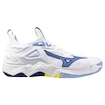 Herren Hallenschuhe Mizuno  Wave MOMENTUM 3 White/Bellwether Blue