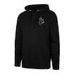 Herren Hoodie 47 Brand  NHL Arizona Coyotes Imprint Backer 47 BURNSIDE Hood