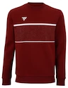 Herren Hoodie Tecnifibre  Club Sweater Cardinal XXL