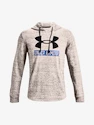 Herren Hoodie Under Armour