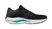 Herren Laufschuhe Mizuno  Wave Inspire 19 2E Black/Metallic Gray/Biscay Green