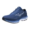 Herren Laufschuhe Mizuno  Wave Inspire 20 Federal Blue/White/Alaskan Blue