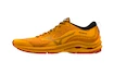 Herren Laufschuhe Mizuno  Wave Rider Gtx Zinnia/Tigerlily/Black