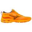 Herren Laufschuhe Mizuno  Wave Rider Gtx Zinnia/Tigerlily/Black