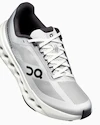 Herren Laufschuhe On Cloudsurfer Next Wide Glacier/White