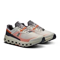 Herren Laufschuhe On Cloudvista 2 Ice/Flame