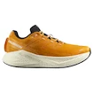 Herren Laufschuhe Salomon Aero Glide 3 Turmeric/White/Black