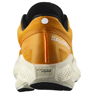 Herren Laufschuhe Salomon Aero Glide 3 Turmeric/White/Black