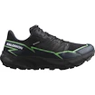 Herren Laufschuhe Salomon  GTX Black/Grgeck/Black