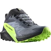 Herren Laufschuhe Salomon  GTX Flint/Black/Grgeck