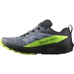 Herren Laufschuhe Salomon  GTX Flint/Black/Grgeck