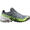 Herren Laufschuhe Salomon  GTX Flint/Grgeck/Black