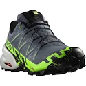 Herren Laufschuhe Salomon  GTX Flint/Grgeck/Black