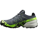 Herren Laufschuhe Salomon  GTX Flint/Grgeck/Black