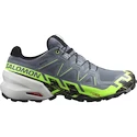 Herren Laufschuhe Salomon  GTX Flint/Grgeck/Black