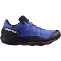 Herren Laufschuhe Salomon Pulsar Trail GTX Dazzling Blue  UK 11