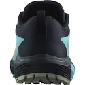 Herren Laufschuhe Salomon Sense Ride 5 Alfalfa / Carbon / Peacock Blue