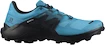 Herren Laufschuhe Salomon  Wildcross 2 GTX Barrier Reef