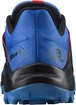 Herren Laufschuhe Salomon  Wildcross 2 Palace Blue