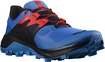 Herren Laufschuhe Salomon  Wildcross 2 Palace Blue