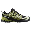 Herren Laufschuhe Salomon Xa Pro 3D V9 GTX Black/Lime Cream/Dark Citron