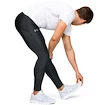 Herren Leggings Under Armour SPEED STRIDE TIGHT grau