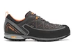 Herren-Outdoorschuhe Asolo  Apex GV MM