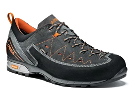 Herren-Outdoorschuhe Asolo  Apex GV MM