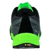 Herren-Outdoorschuhe Salewa  MS Wildfire