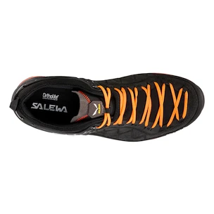 Herren-Outdoorschuhe Salewa  MTN Trainer 2 GTX