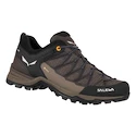 Herren-Outdoorschuhe Salewa  MTN Trainer Lite GTX   UK 11