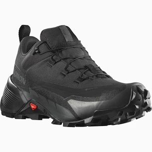 Herren-Outdoorschuhe Salomon  CROSS HIKE GTX 2