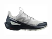 Herren-Outdoorschuhe Salomon  ELIXIR ACTIV Glacier Gray/Carbon/Slate Green  UK 11,5