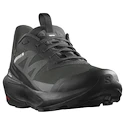 Herren-Outdoorschuhe Salomon Elixir Activ Gore-Tex Phantom/Black/Magnet