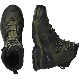 Herren-Outdoorschuhe Salomon Quest 4 Gore-Tex Olive Night/Peat/Safari  UK 8,5