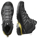 Herren-Outdoorschuhe Salomon X Ultra 360 MID Gore-Tex Castlerock/Black/Spicy Mustard