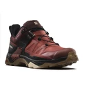 Herren-Outdoorschuhe Salomon  X ULTRA 4 GTX